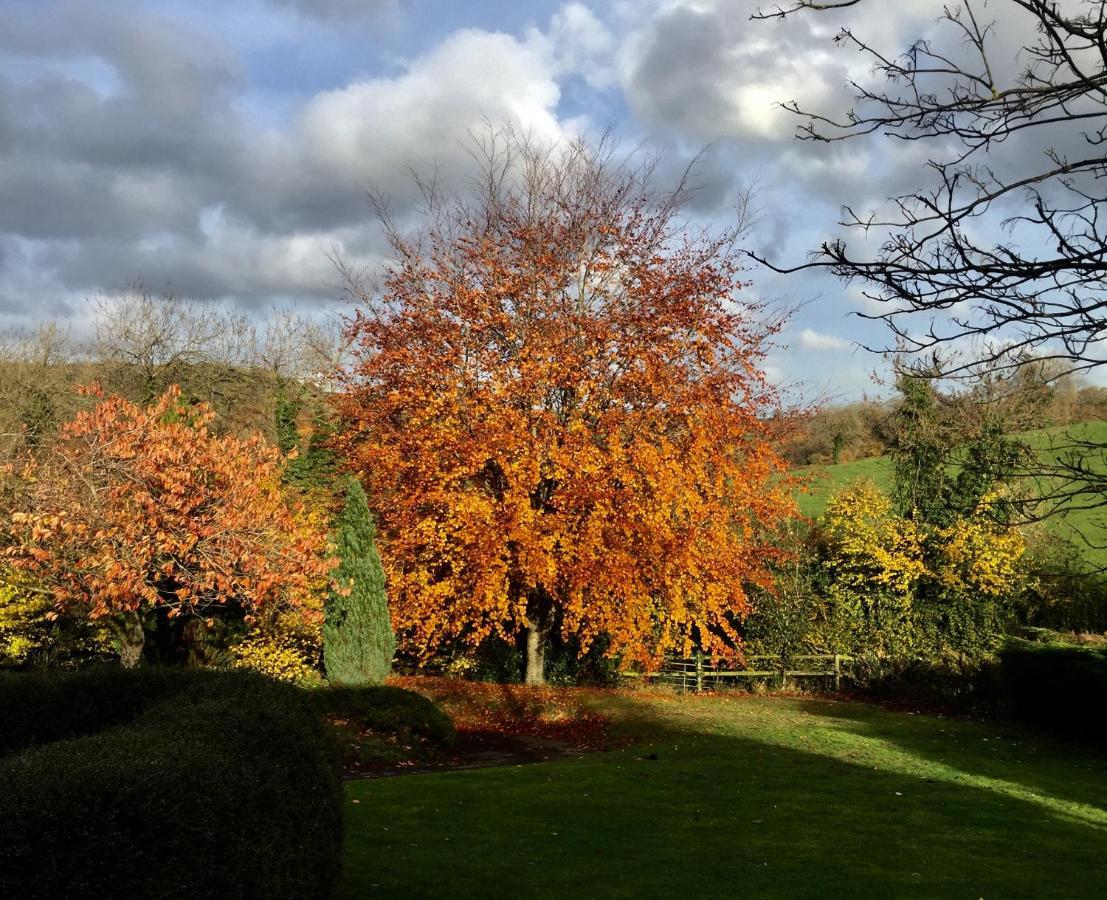 Valley View Farm, Batcombe Bed and Breakfast Shepton Mallet Exterior foto